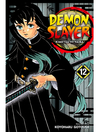 Demon Slayer: Kimetsu no Yaiba, Volume 12